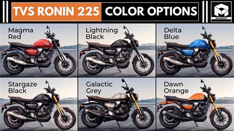 2024 TVS Ronin 225 Price, Specs, Top Speed & Mileage in India (New Model)