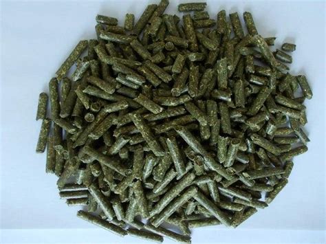 How To Choose A Good Sheep Feed Pellet Machine?