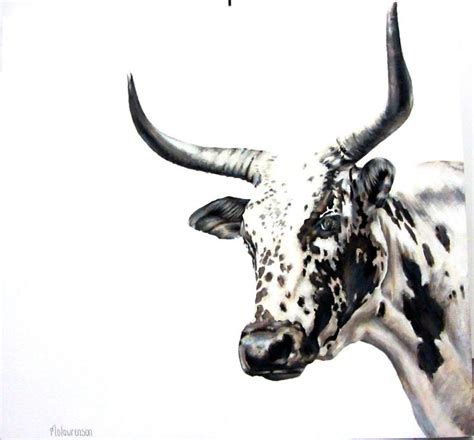 Nguni painting- Acrylic on canvas | Cow art, Nguni cows, Cow painting