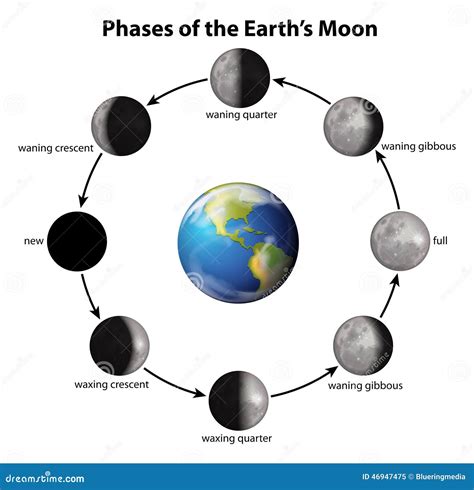 Fases De La Luna En Blanco