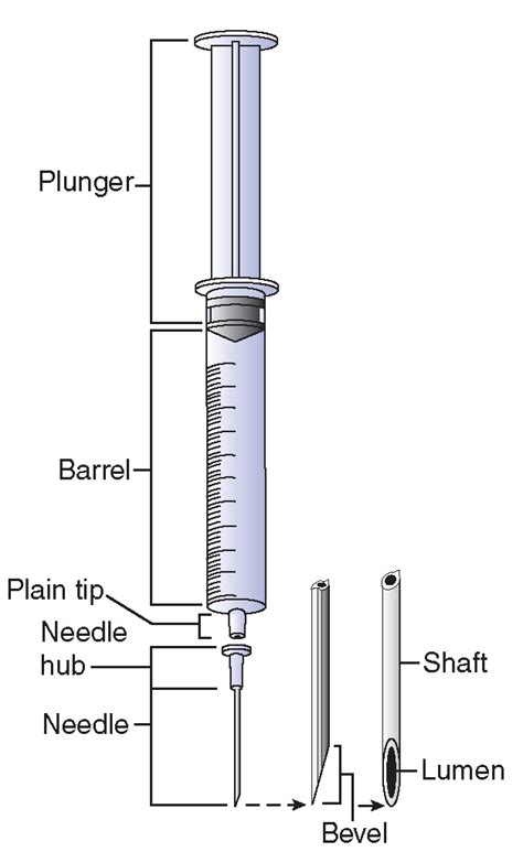 34 Label Parts Of A Syringe - Label Design Ideas 2020