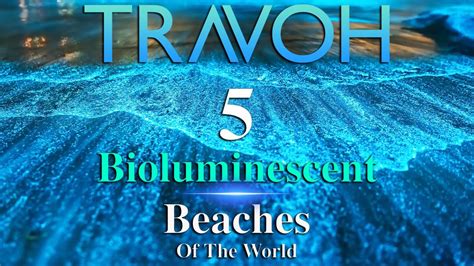 5 Bioluminescent Beaches Of The World – TRAVOH