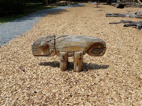 Carved Wooden Lizard Animal Bench on Playground Stock Photo - Image of ...