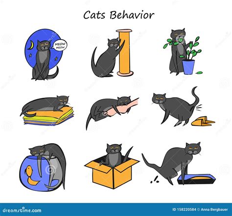 Cat Behavior Set stock vector. Illustration of behave - 158220584