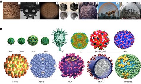 Geometric architecture of viruses