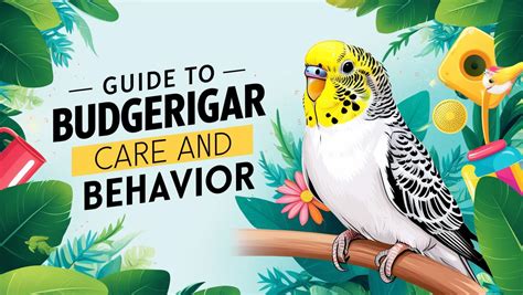 Guide to Budgerigar Care and Behavior