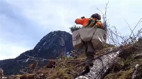 Watch Speedy Tree Planting on Canada's West Coast - Gripped Magazine