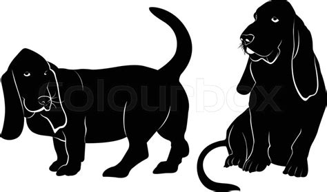 Basset hound dog vector silhouette | Stock vector | Colourbox