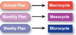 Periodization Training Simplified: A Strategic Guide | NASM Blog