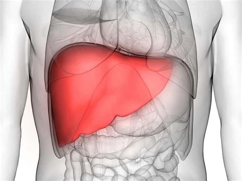 Cirrhosis Of The Liver: What Is Cirrhosis Of The Liver?