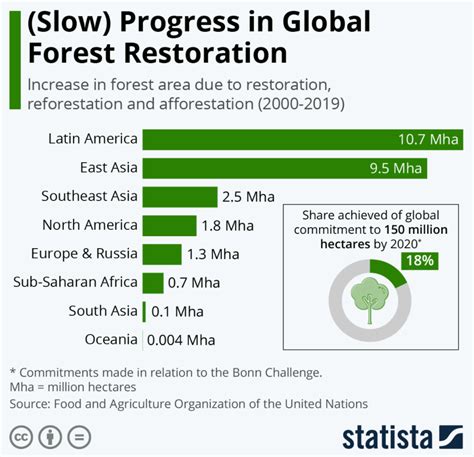 These 3 start-ups are bringing cutting-edge tech to forest restoration ...