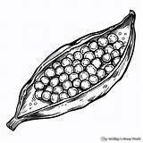 Mustard Seed Coloring Pages  Free & Printable sketch template