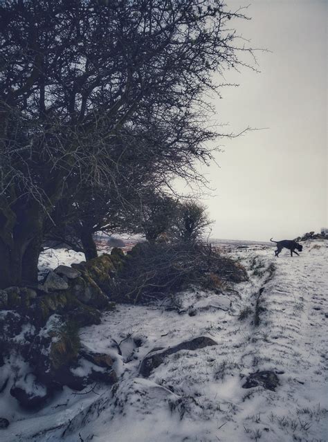 POSTCARDS FROM IRELAND: Snowy Ireland