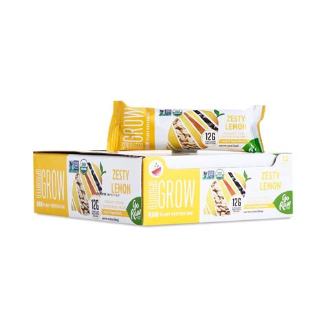 12-Pack Zesty Lemon Sprouted Protein Bars - Thrive Market