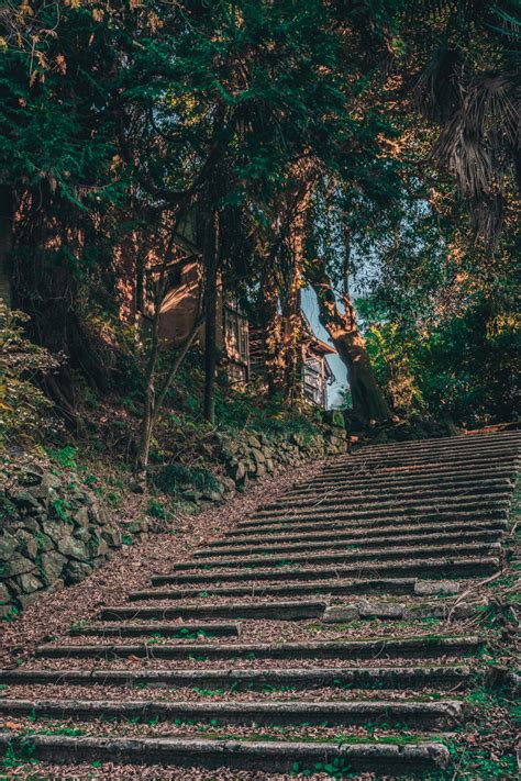 Batumi Botanical Garden: Everything You Need to Know