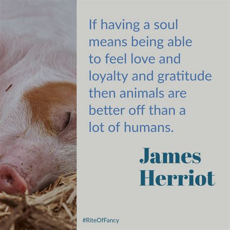 A Book to Read and Love: All Creatures Great And Small by James Herriot