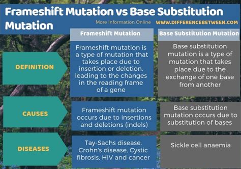 Difference Between Frameshift Mutation and Base Substitution Mutation ...