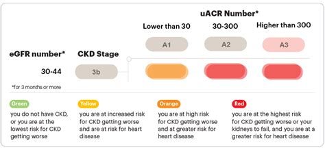 Stage 3b Chronic Kidney Disease (CKD) | National Kidney Foundation