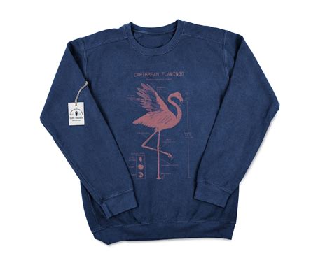 Flamingo Anatomy Sweatshirt, Caribbean Flamingo Sweatshirt, Marine Biology Sweatshirt, Flamingo ...