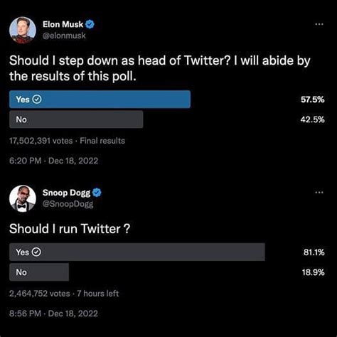 "Rebrand as tWEEDter": Snoop Dogg asks if he should run Twitter amid Elon Musk's poll, sets the ...