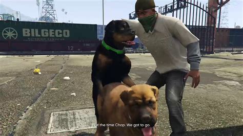 Grand Theft Auto V - Chop - YouTube