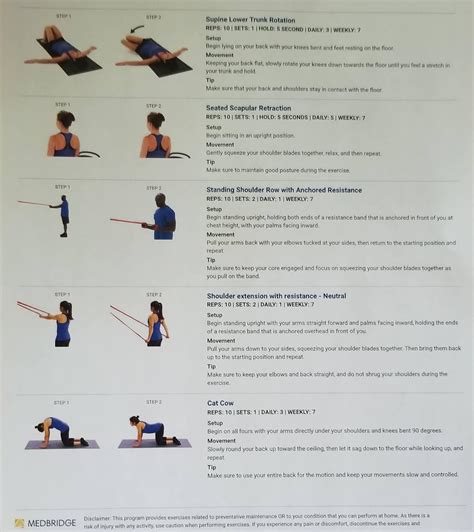 Got these exercises for "thoracic pain" from a PT. Are they ok to do with scoliosis? (2 pages ...