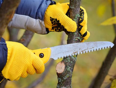 How To Use a Pruning Saw