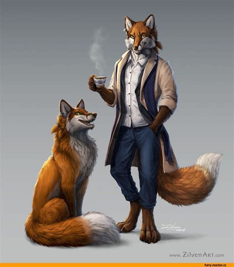 furry,фурри,фэндомы,furry art,furry fox,furry feral,feral, furry animal ...