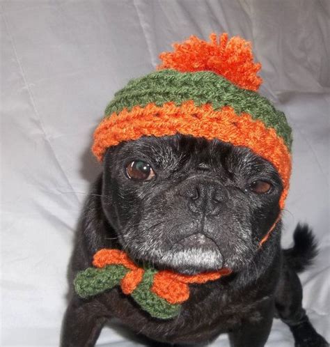 Pet Accessories Dog Hat Crochet Dog Hats Halloween Hat | Etsy | Crochet dog hat, Crochet dog ...