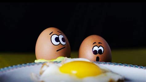 Free download Funny Eggs Best Wallpaper 43502 Baltana [1920x1080] for your Desktop, Mobile ...