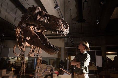 ‘Scotty’ the T. Rex Is the Heaviest Ever Found, Scientists Say - The ...