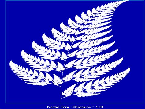 Fractal Fern | Fractals, Image, Art