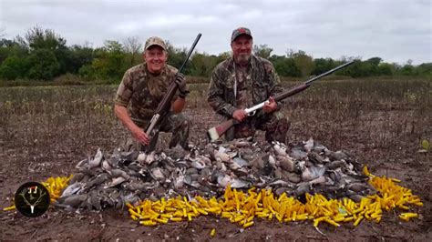 Argentina Dove Hunt Packages