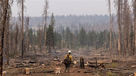 Photo From The Bootleg Fire: America's Largest Wildfire - The New York ...