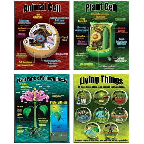 Science Supplies for the Elementary Classroom--Learn About the World!