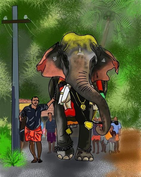 Kerala elephant degital illustration | Elephant illustration, Canvas art projects, Elephant sketch