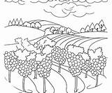 Free Vineyard Coloring Pages – Corner sketch template