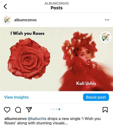 Made a post on the I Wish you Roses visuals for my college course ...