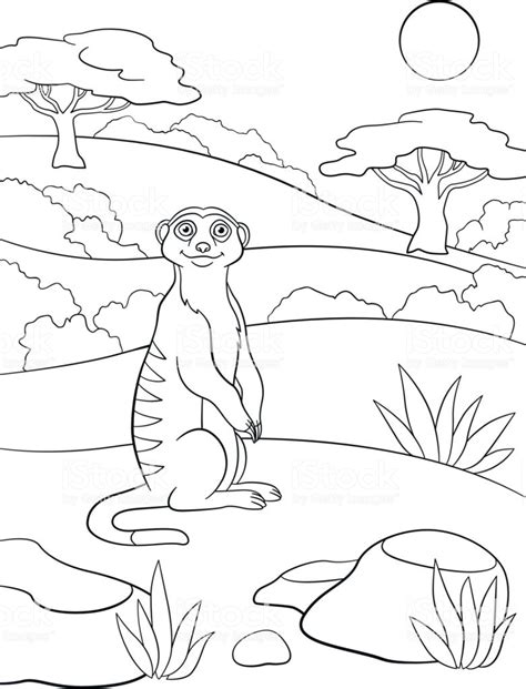 Meerkat Coloring Pages Coloring Pages