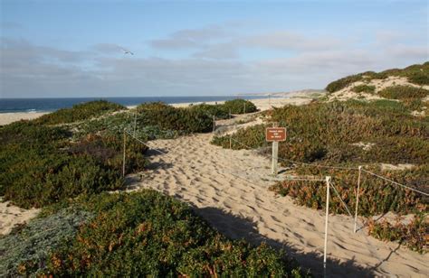 Monterey State Beach – Seaside Beach in Seaside, CA - California Beaches