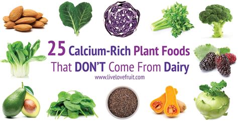 25 Calcium-Rich Plant Foods That DON'T Come From Dairy! - Live Love Fruit