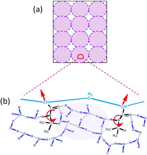 (a) Schematic diagram of the microgel system at low temperature. (b)... | Download Scientific ...