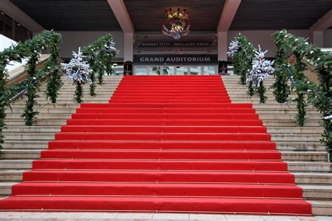 Red Carpet | Chris Brown | Flickr