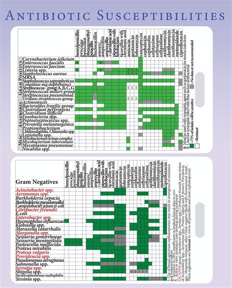 Details about Antibiotic Susceptibility Tables (Antibiogram) Lanyard ...