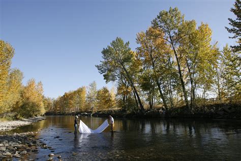 Bosie River, Bosie, Idaho | World Rivers Project