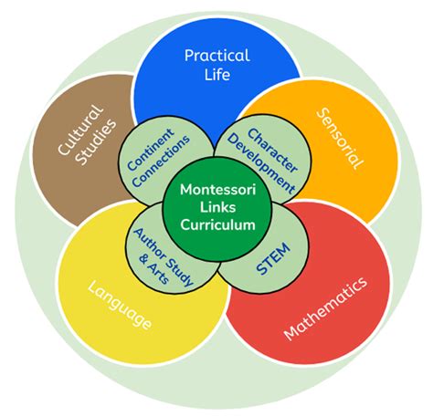 Our Curriculum - Children's Manor Montessori School