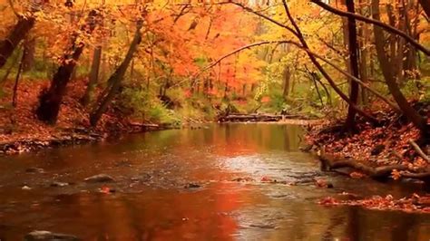 Beautiful and colorful autumn scenery ! - YouTube