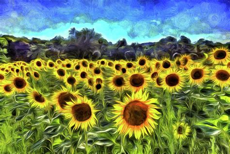 Sunflowers Van Gogh Photograph by David Pyatt - Pixels