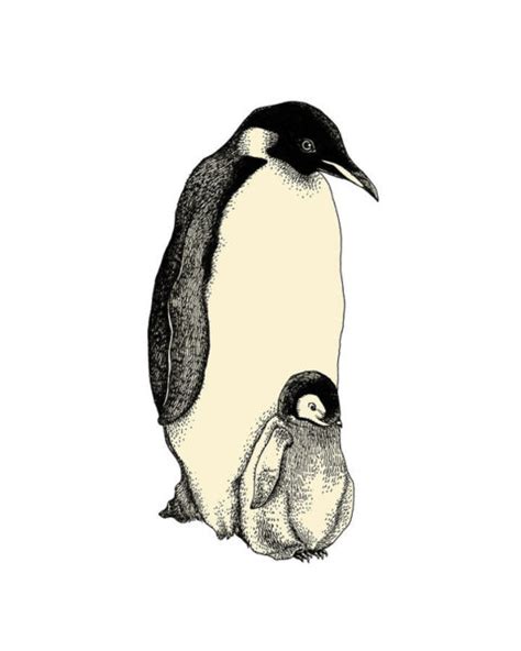 Baby Penguin Drawing | Free download on ClipArtMag