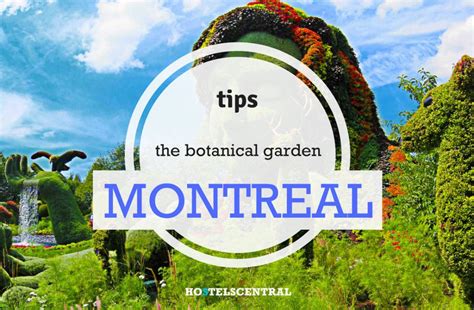 The wonders of the Montreal Botanical Garden - HostelsCentral.com